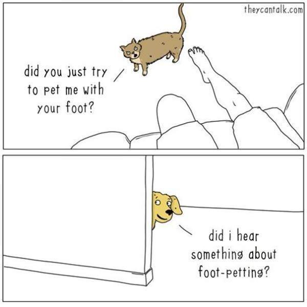 A two-panel comic shows a cat angrily confronting a person's foot for petting it, then a dog peeks around a corner asking if…