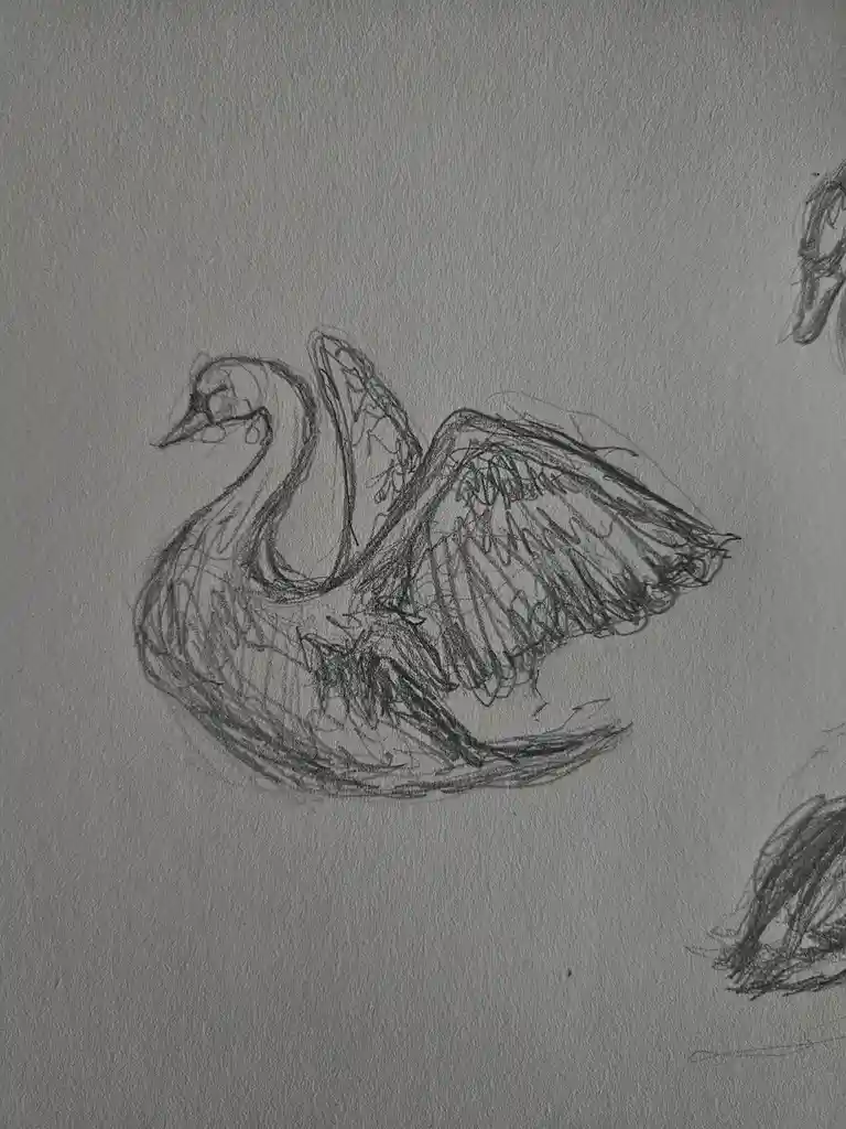 A rough pencil sketch on textured paper shows a bird with a long curved neck and wings spread, resembling a swan. The…