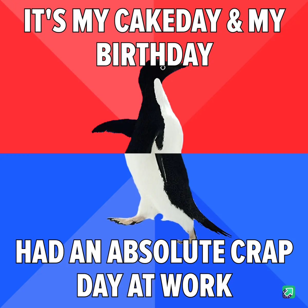 Celebrating Cakeday and Birthday Bliss