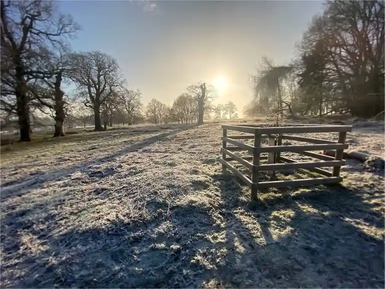 A frost-covered field with bare trees under a bright sun, featuring a small wooden animal enclosure in the foreground. The…