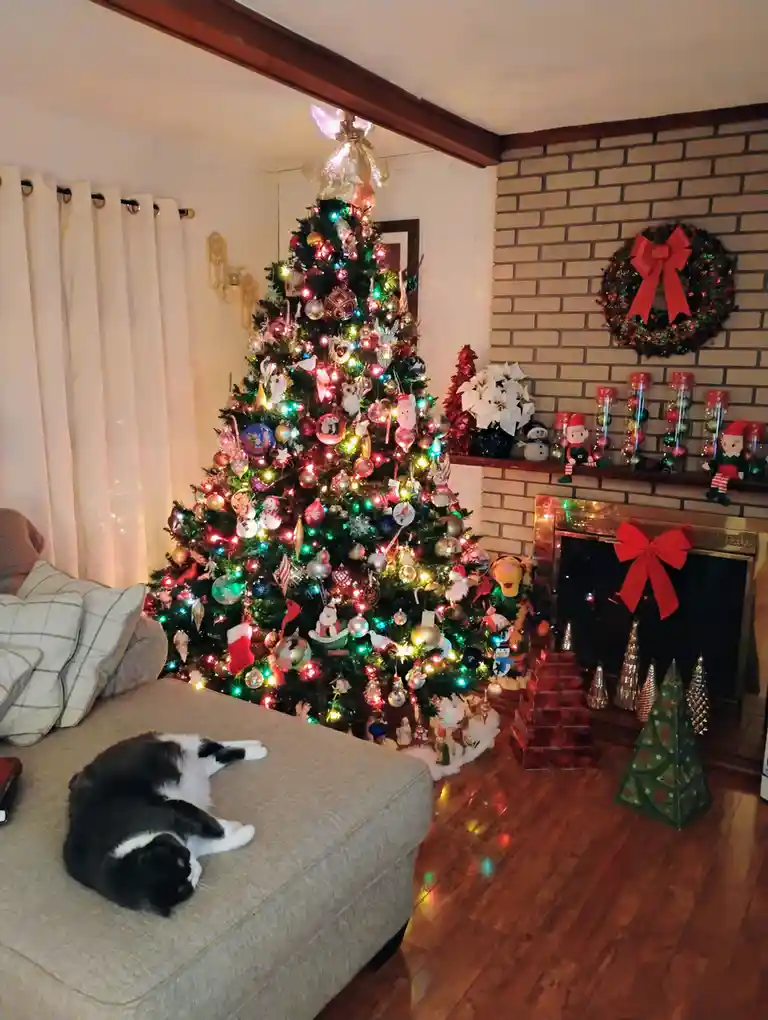 A black and white cat is sleeping soundly on a beige couch in a warmly lit living room decorated for Christmas. Behind the…