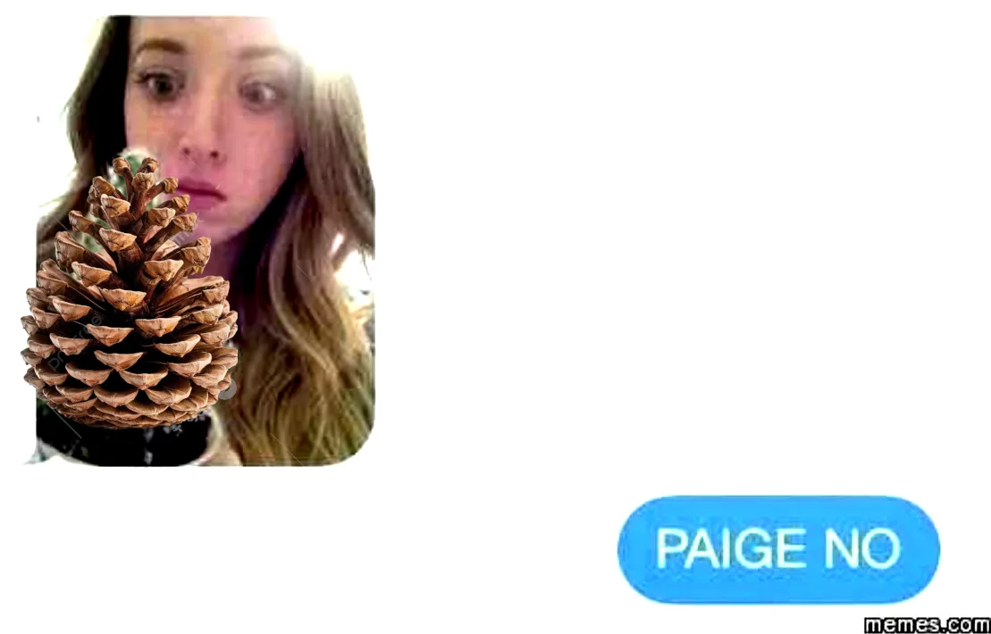 Meet PAIGE, Our Pinecone Enthusiast!