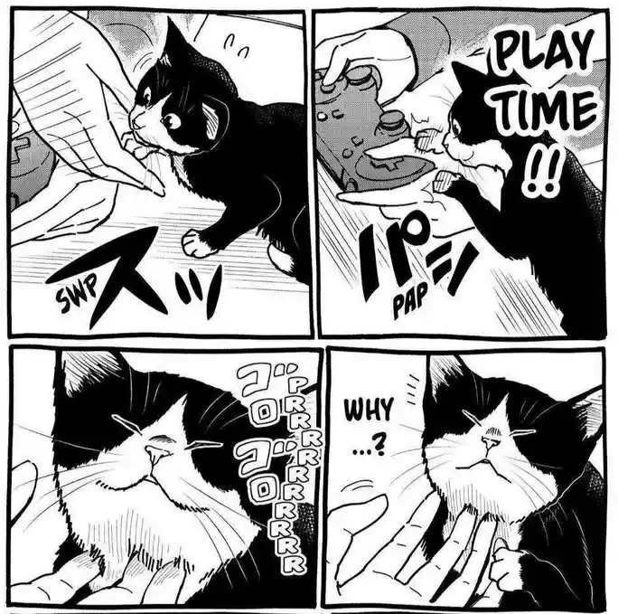 A four-panel black-and-white manga-style comic shows a black-and-white cat being playfully interacted with. In the first…