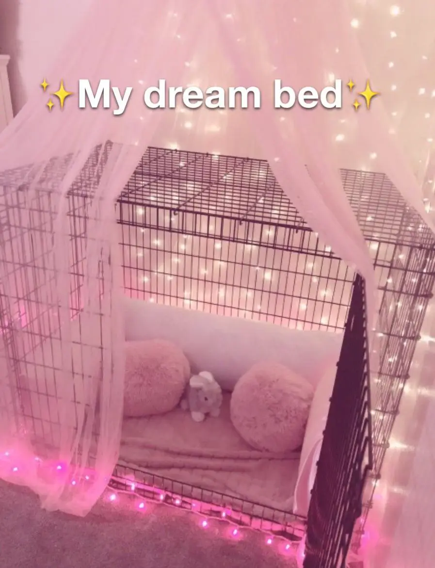 A black wire pet crate is decorated with pink fairy lights, a sheer pink canopy, and fluffy pink pillows, with the text 'My…