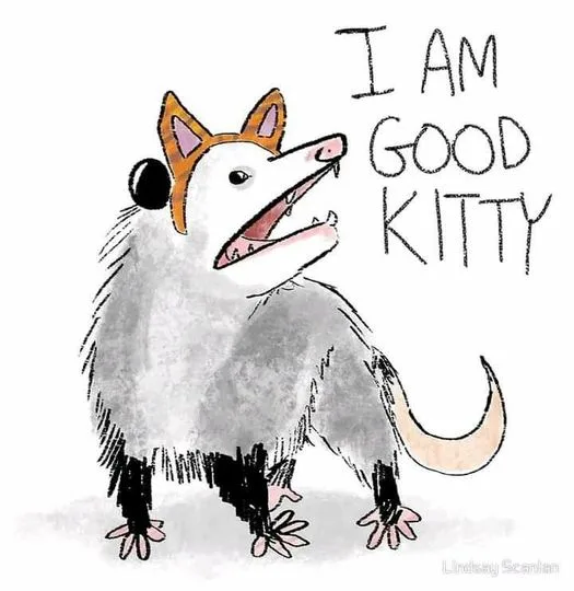 A cartoon drawing of an opossum with orange-tipped ears and a black eye patch, standing upright and smiling with its mouth…