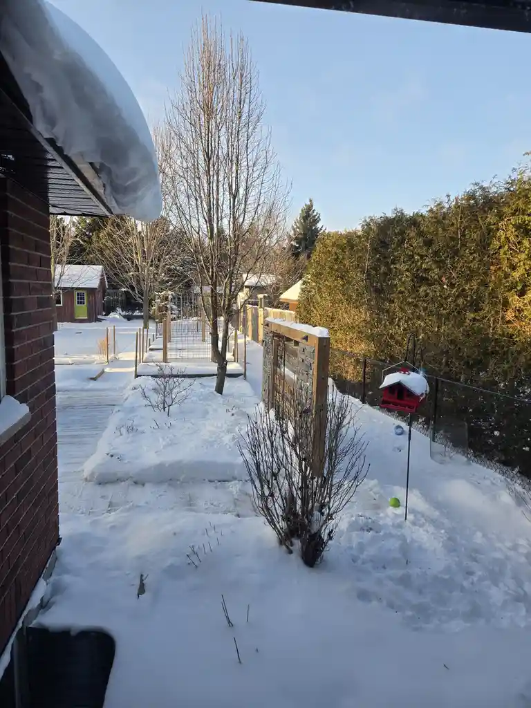 A snowy backyard view from a porch, showing a snow-covered roof overhang, bare trees, a wooden fence, a red bird feeder with…