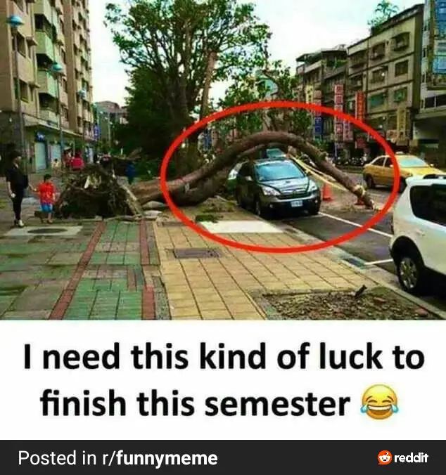 A large tree has fallen across a street, completely crushing a black car parked in the middle of the road. The fallen tree…