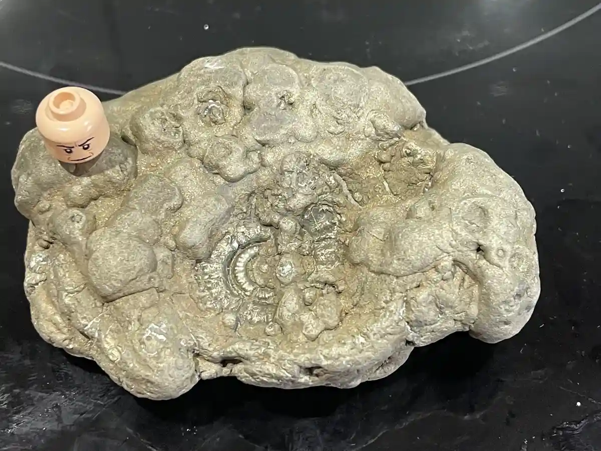 A close-up photo shows a rough, grayish rock with a small, angry-looking LEGO minifigure head stuck into its surface on the…