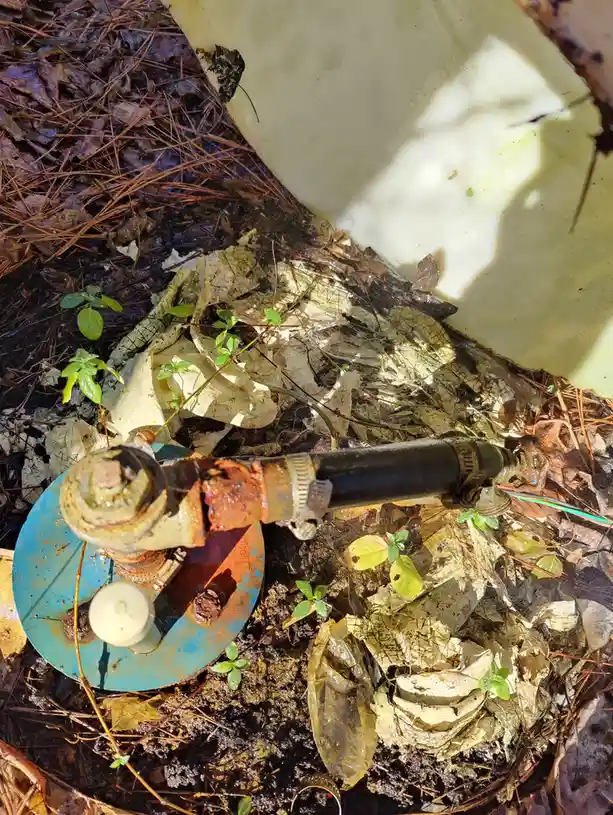 A rusted, broken fire hydrant sits partially buried in muddy forest floor covered with pine needles and decaying leaves…