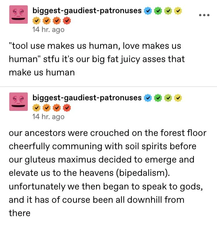 A screenshot of two identical Reddit comments from the user 'biggest-gaudiest-patronuses', each with a pink face avatar and…