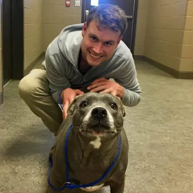 Life at the Animal Shelter: A Heartwarming Experience