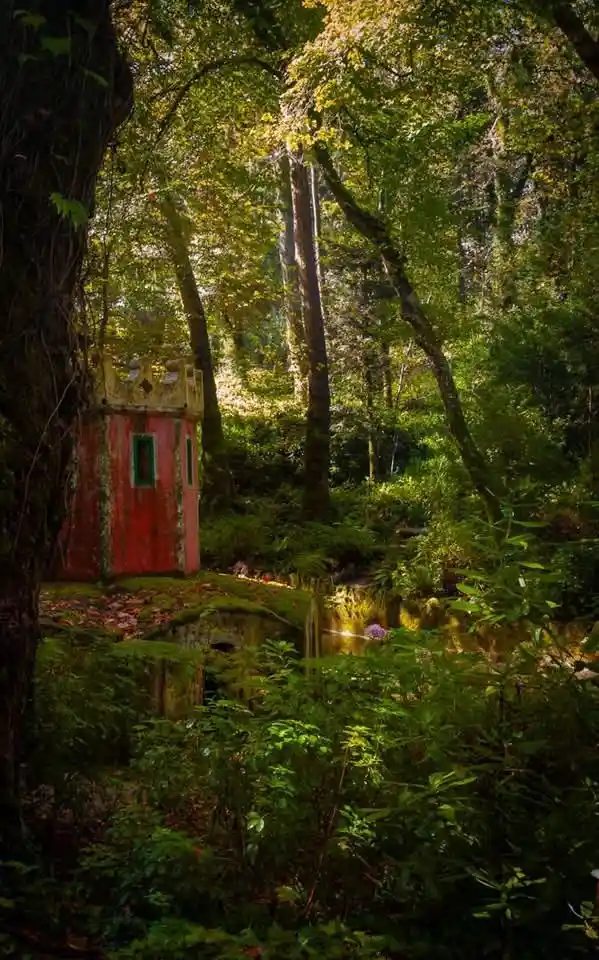A small, weathered red house with a green window sits nestled in a dense, sun-dappled forest, partially obscured by trees…