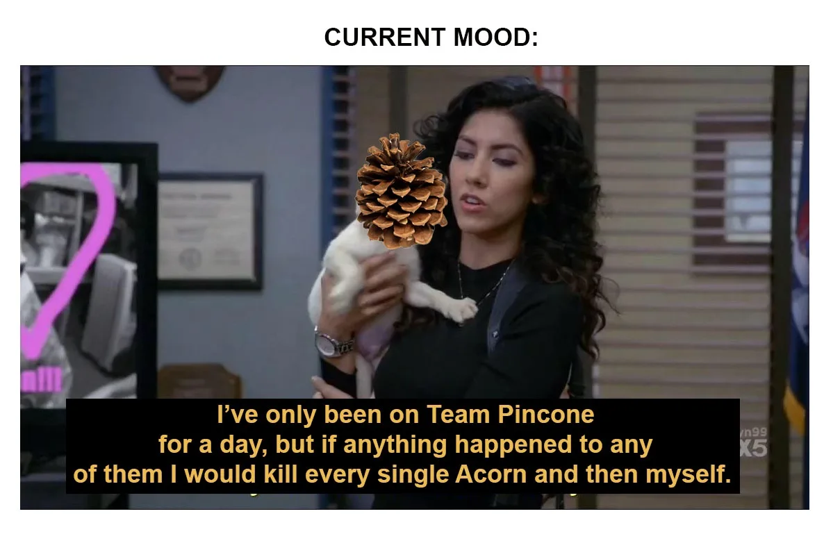 Welcome to the Pinecone Club: A Dump for Snowball Fun and Acorn-Free Zone