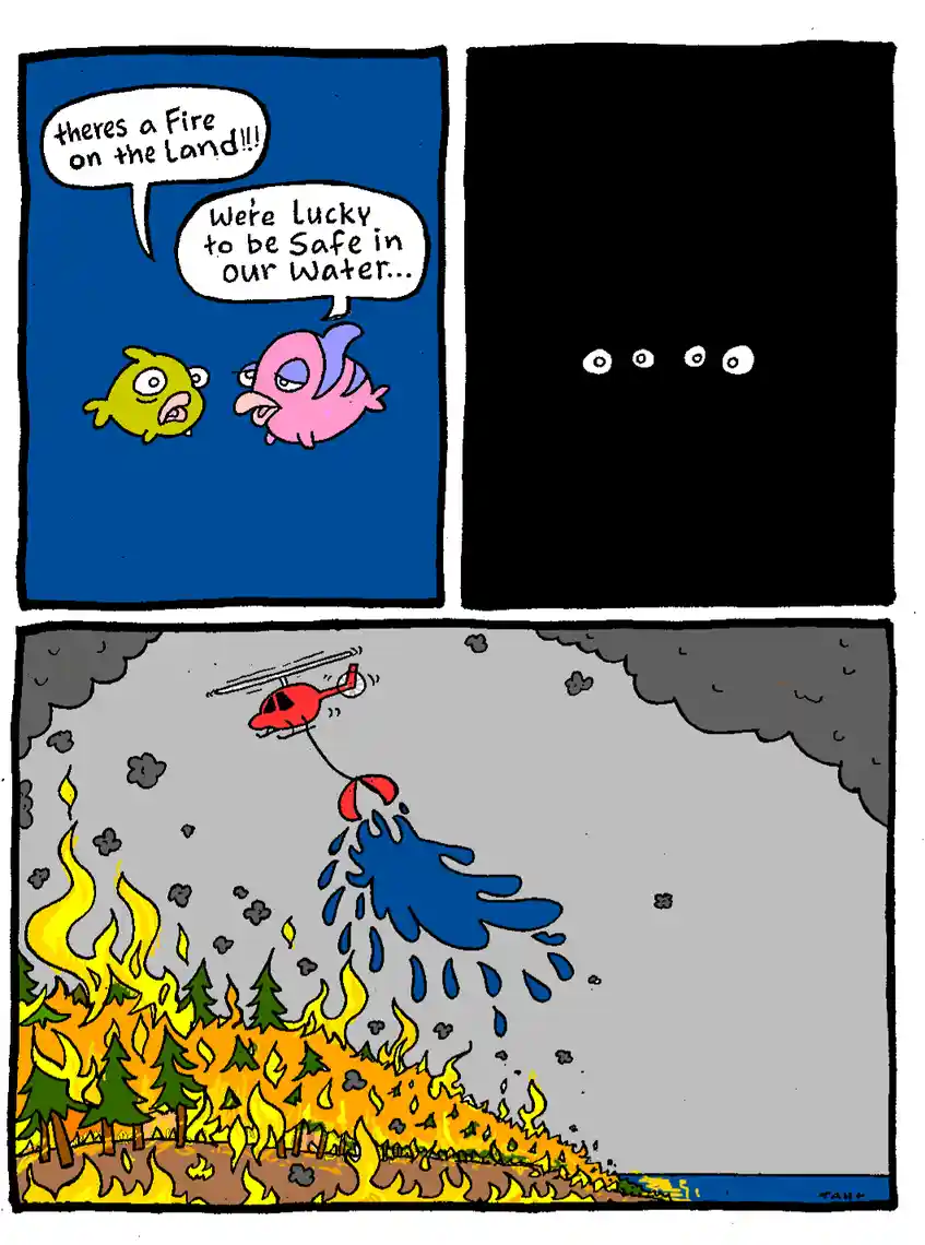A three-panel comic strip shows two cartoon fish in water discussing a land fire, then a black panel with eyes, and finally…