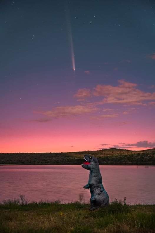 The Best Comet Photo I Could Snap on Short Notice