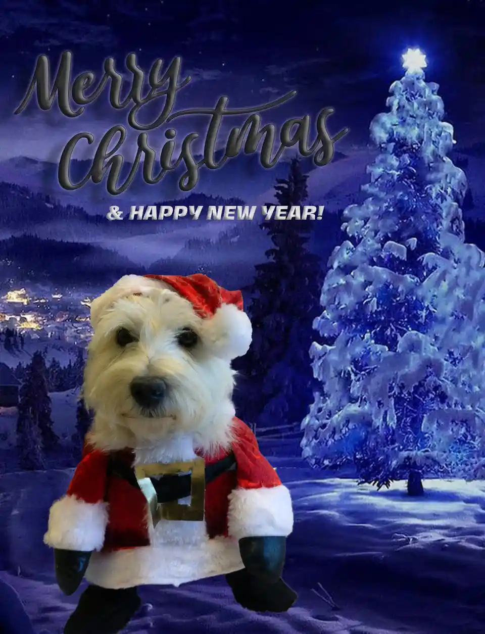 A white fluffy dog wearing a full Santa outfit including hat, coat with fur trim, belt, and gloves stands in a snowy winter…