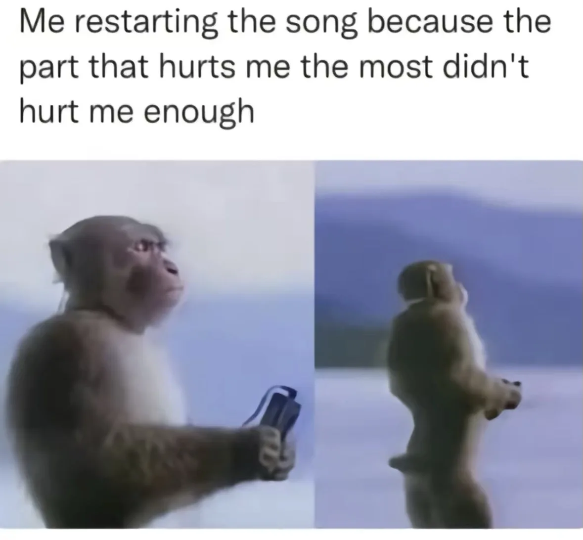 That Perfect Meme Moment You Can't Ignore