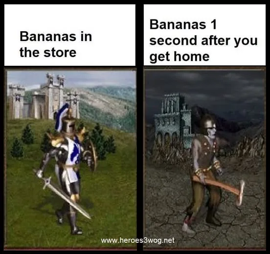 Two-panel image from the game Heroes of Might and Magic 3. Left panel shows a knight in full armor walking confidently…