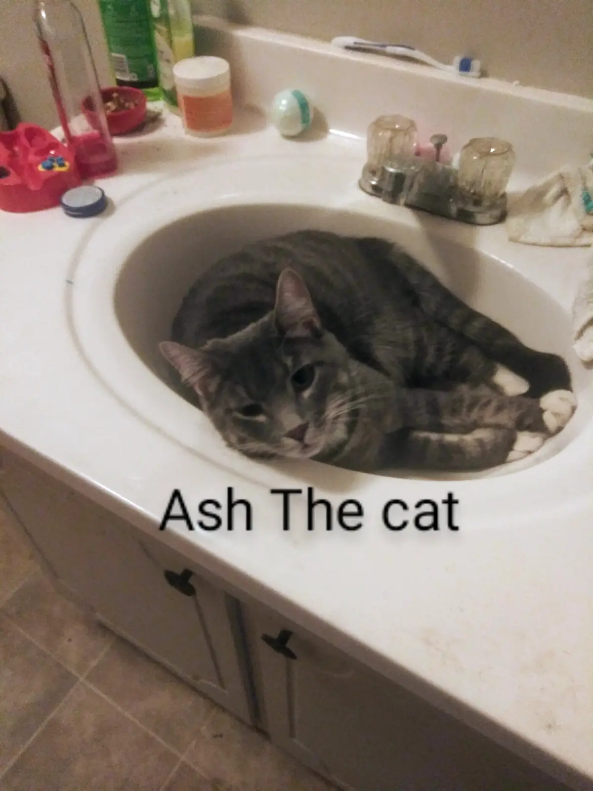 A gray tabby cat with white paws is curled up and sleeping inside a white bathroom sink. The sink is surrounded by various…