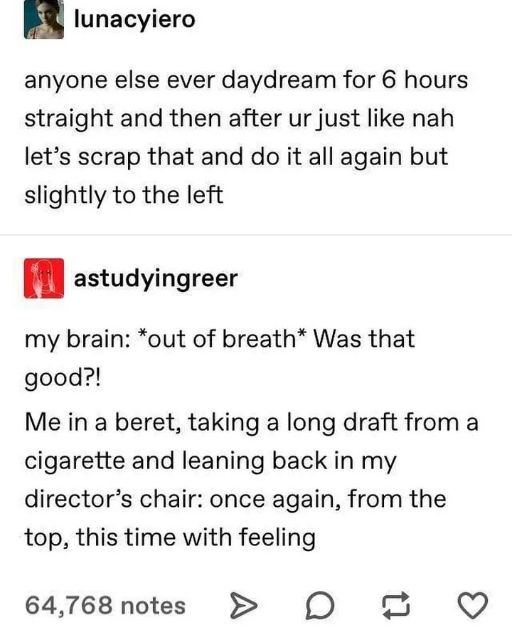 A screenshot of a Tumblr post showing two comment threads. The first user, 'lunacyiero', asks if anyone else daydreams for…