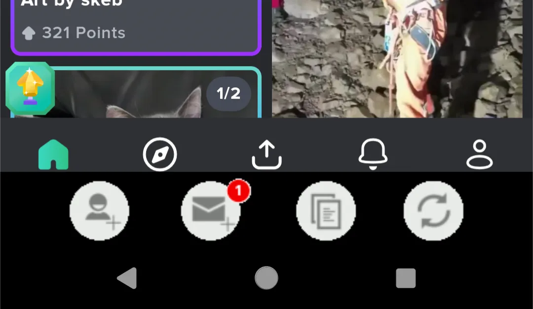 A split-screen image shows a cat's ear on the left and a rock climber on the right, overlaid with a Reddit-style interface…