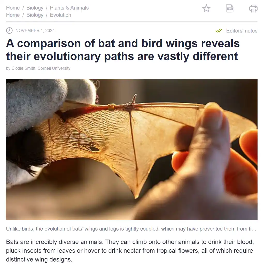 A close-up photo shows a human hand holding a bat wing, revealing its delicate, membrane-like structure with visible veins…
