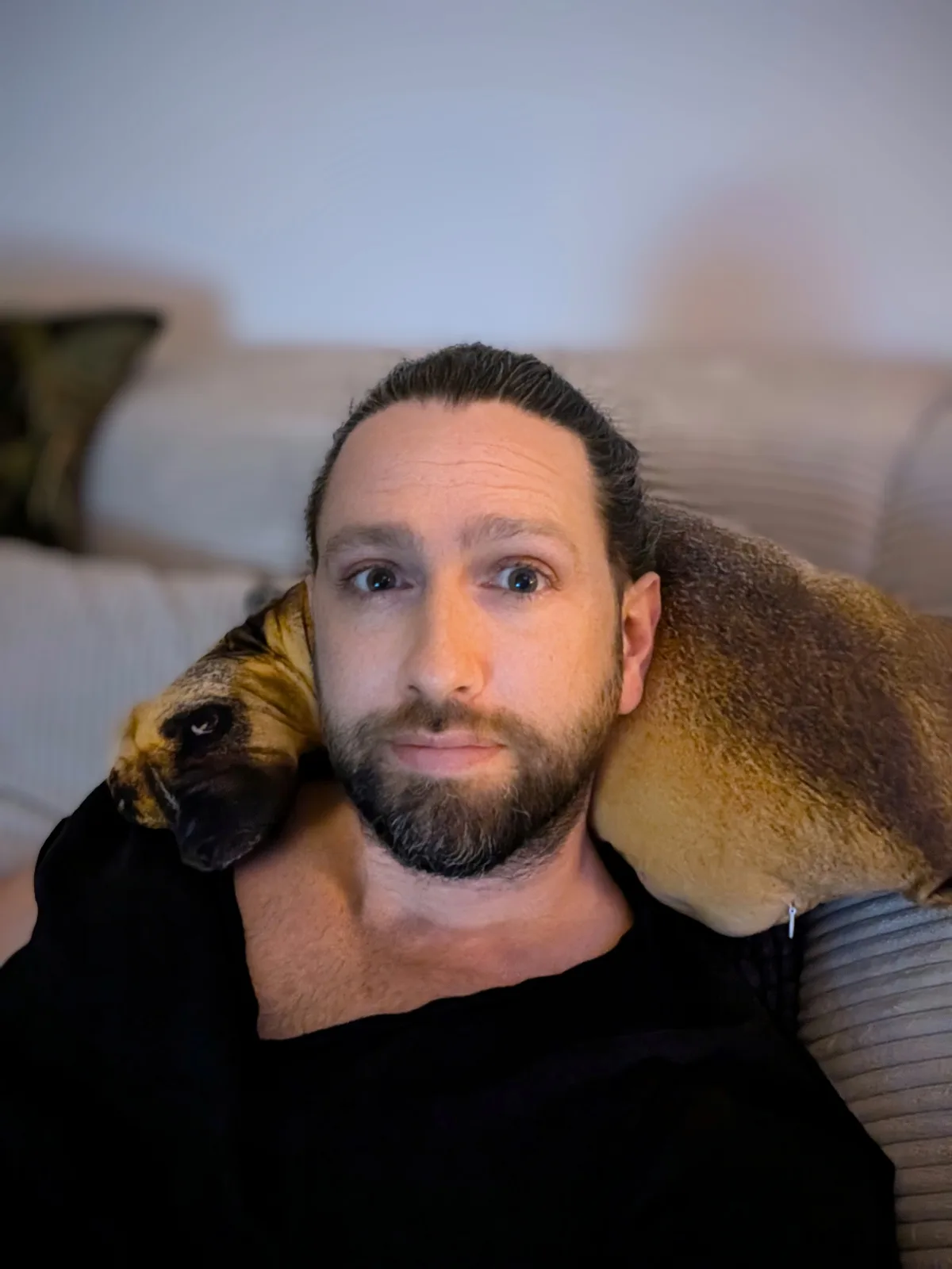 A man with a beard and dark hair, wearing a black shirt, sits on a couch with a large, brown, furry dog pillow draped over…