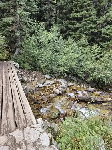 A wooden plank bridge overlooks a rocky, shallow stream flowing through a dense forest of evergreens and green bushes. The…