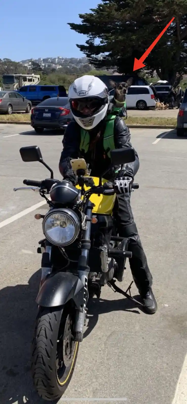 A person in full motorcycle gear, including a white helmet and black leather jacket, sits on a yellow and black motorcycle…