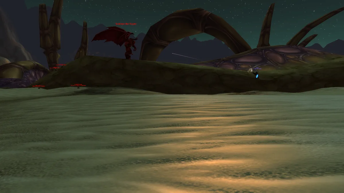 The Intriguing Bug Placement in Silithus