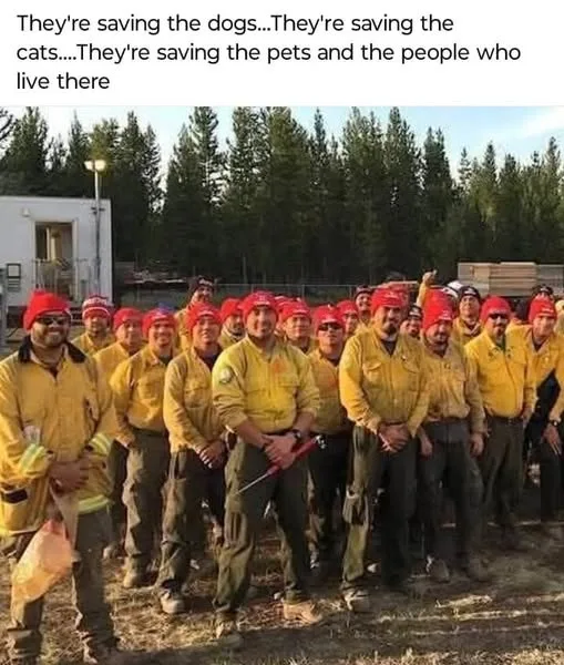 A group of firefighters in yellow uniforms and red hats stand in a line outdoors, smiling at the camera. Behind them are…