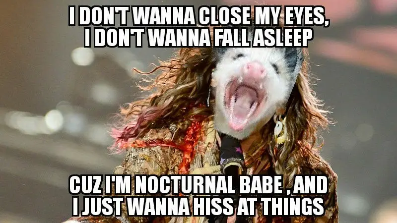 Music-Themed Memes: A Little Something for Your Soul