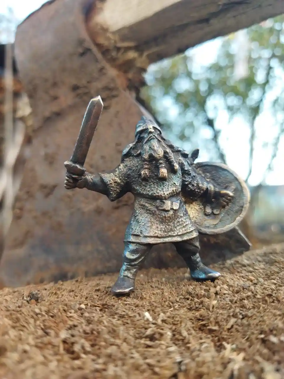 The Adventures of a Little Viking