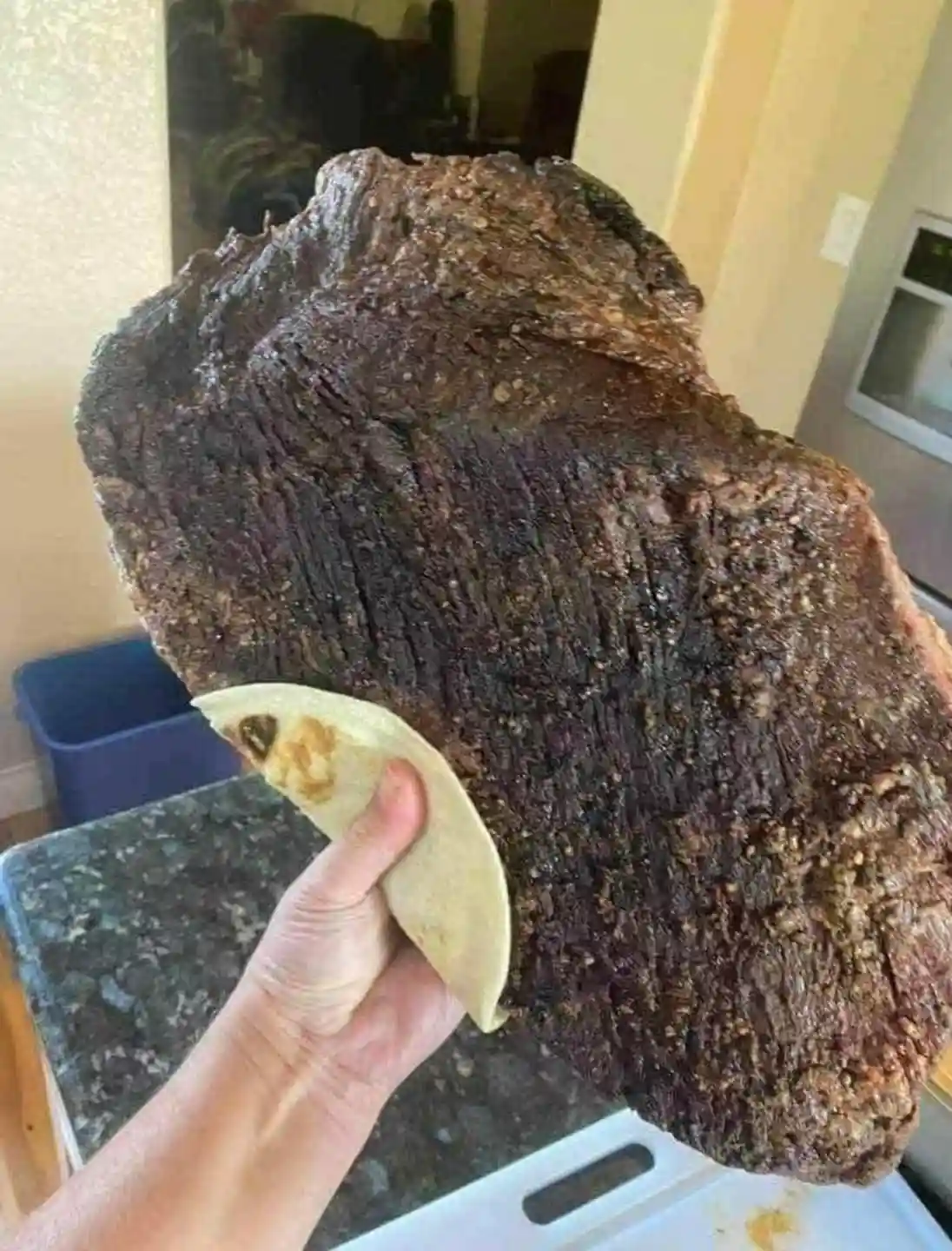 a hand holds a small, slightly charred tortilla shell in front of an enormous, darkly seared piece of meat, likely brisket…
