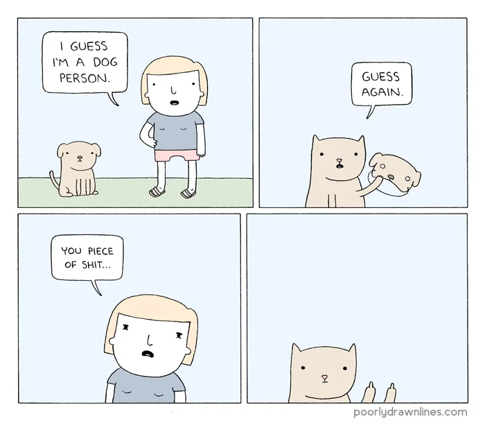 A four-panel comic strip shows a person declaring they're a dog person, then a cat appears holding the dog's head and says…