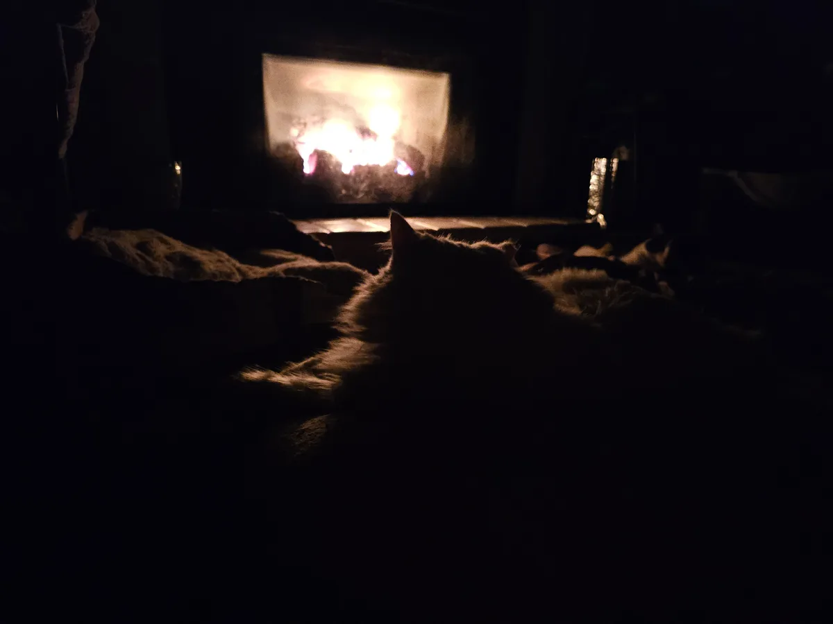 A cat is silhouetted in a dark room, lying on a blanket and staring intently at a glowing fireplace in the background. The…