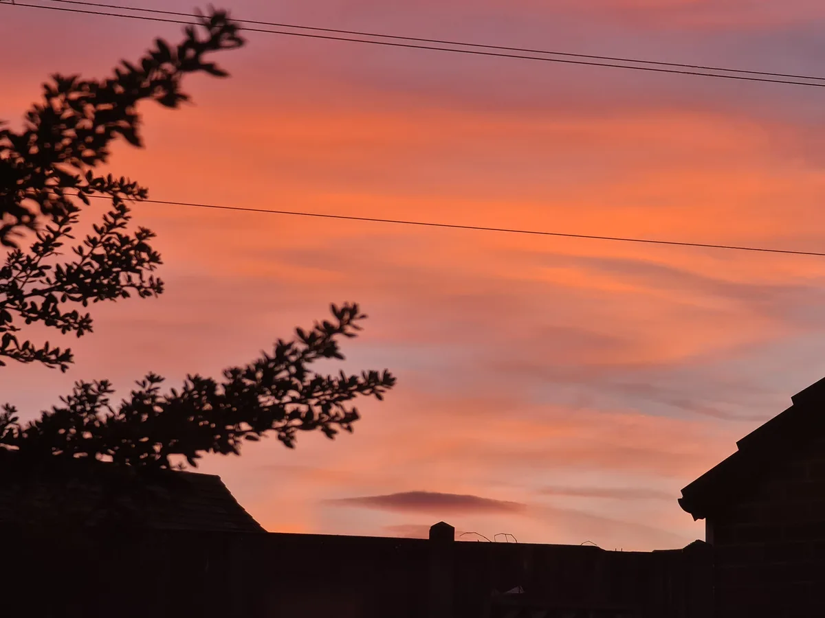 A serene sunset photo showing silhouettes of tree branches, rooftops, and a fence against a vibrant orange and pink sky with…
