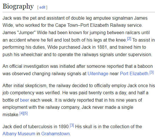 A screenshot of a Wikipedia-style biography page for 'Jack', a baboon who worked as a railway signalman assistant for a…