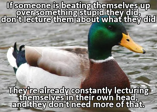 A mallard duck swimming in water with overlaid text that reads: 'If someone is beating themselves up over something stupid…