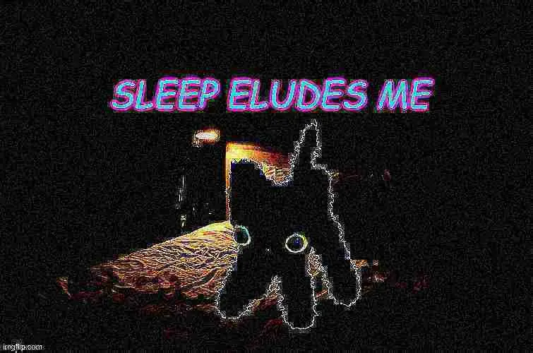 Enjoying a Night of Crispy Memes