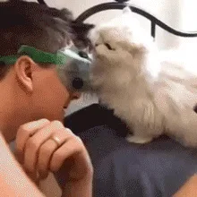 Dive into Part 15 of Our Retro Gif Collection