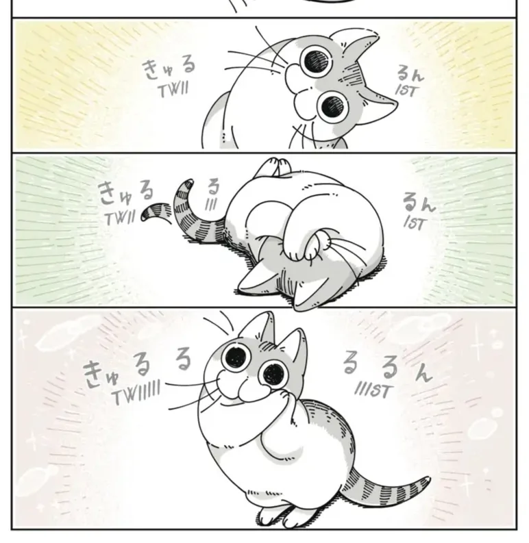 A three-panel manga-style comic shows a cat progressively getting more excited or overwhelmed. In the first panel, the cat…