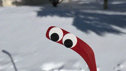 A red hockey stick with googly eyes is partially buried in snow, looking up with a slightly annoyed or unimpressed…