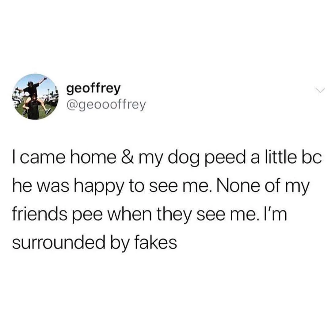 A screenshot of a tweet from user 'geoffrey' (@geoooffrey) showing a circular profile picture of two people outdoors. The…