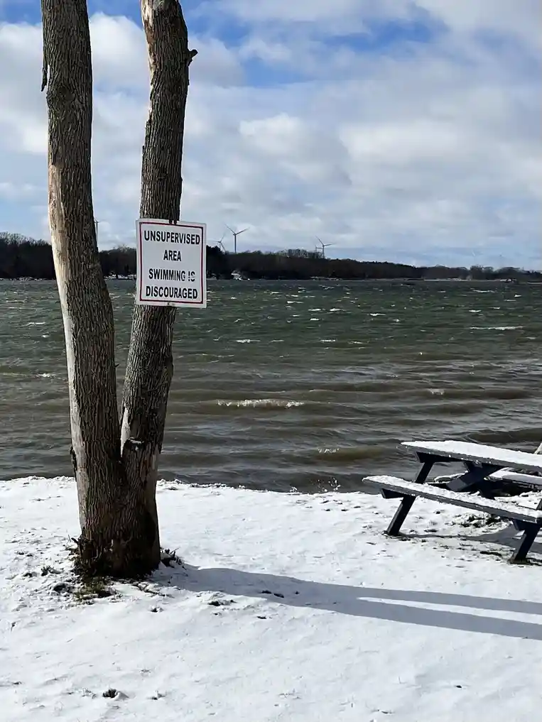 A white sign with black text reading 'UNSUPERVISED AREA SWIMMING IS DISCOURAGED' is taped to a tree trunk at a snowy…