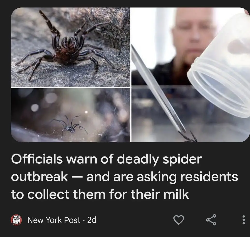 The image is a collage showing a large black spider on rock, a small spider on a web, and a person using tweezers to hold a…