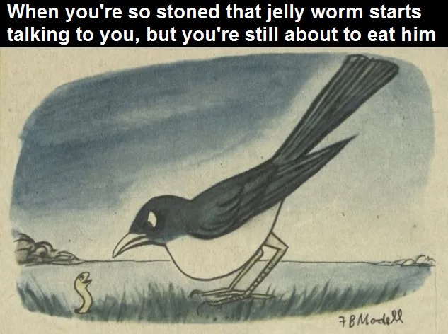 A vintage-style illustration shows a black-and-white bird standing on grass, about to eat a small, worm-like creature. The…