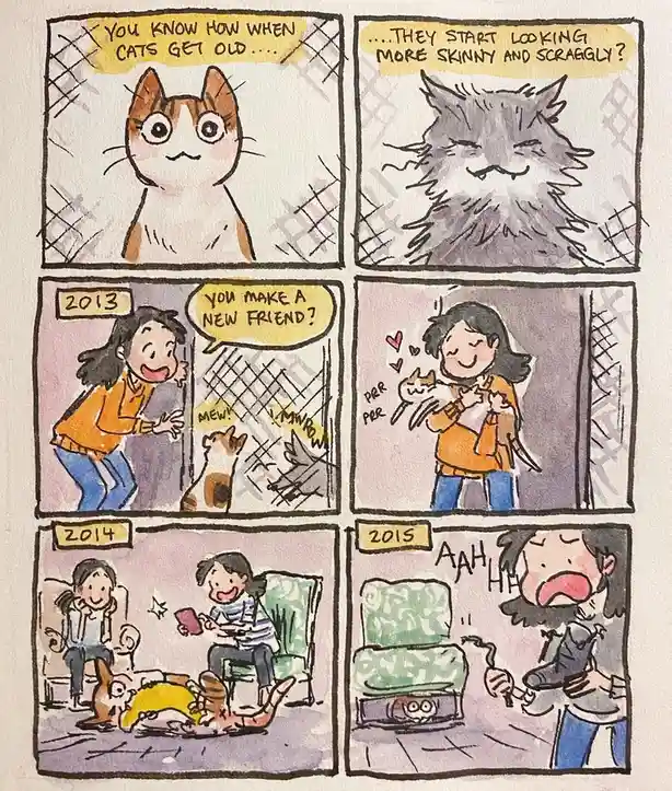 A six-panel comic strip shows a cat owner's experience with aging cats. The first panel shows a young cat asking about aging…