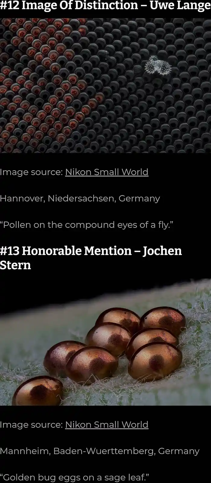 The image displays two separate macro photographs from the Nikon Small World competition. The top photo shows pollen grains…