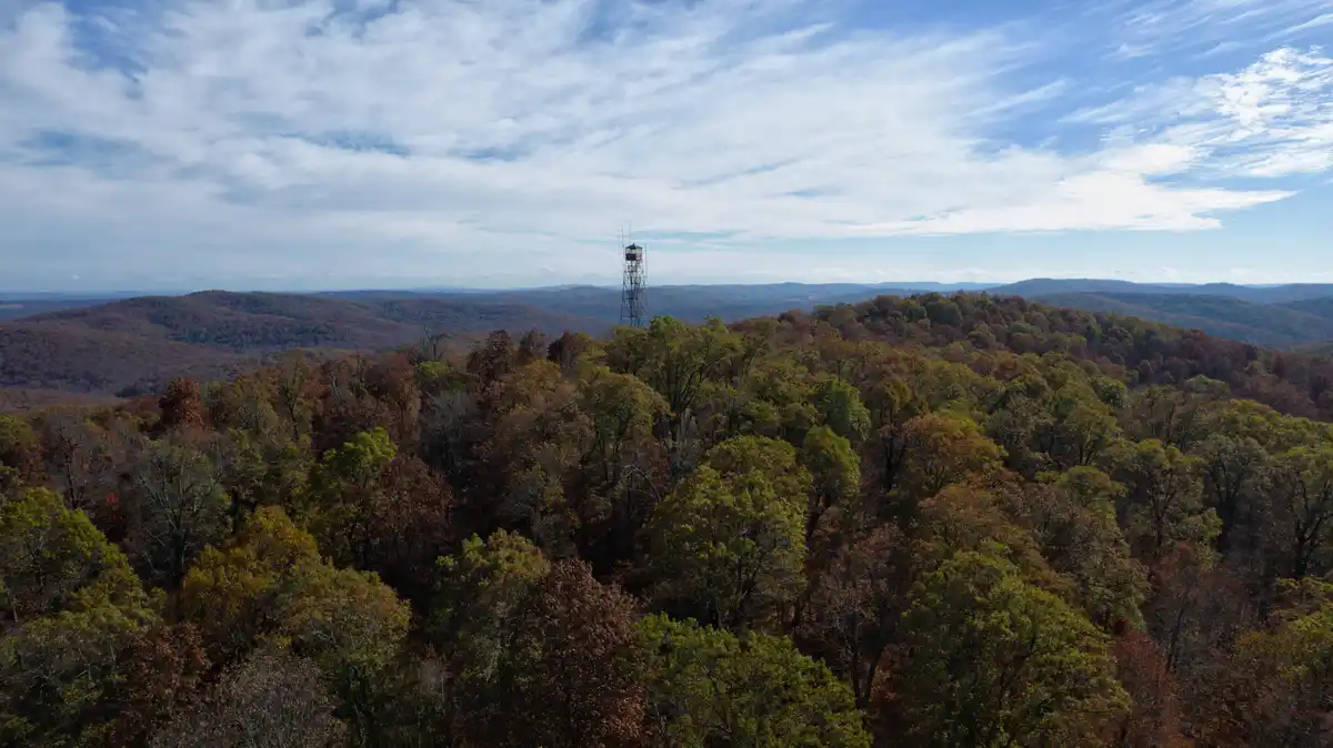 An aerial photo shows a forest of trees in autumn colors with a metal water tower standing prominently on a hilltop. The sky…